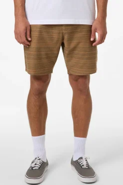 Bavaro Stripe 19" Shorts