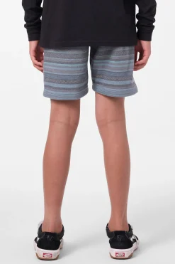 Boy's Cortez Fleece Shorts - Blue Shadow | O'Neill