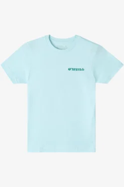 Boy's Hacked Tee - Sky Blue Heather | O'Neill