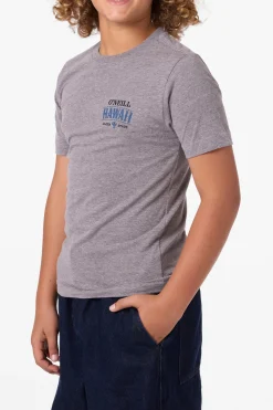 Boy's Hawaii Arch Tee - Heather Grey | O'Neill