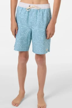 Boy's Hermosa Elastic Waist Lined 16" Swim Trunks Trunks - Stone Blue | O'Neill