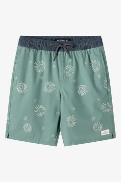 Boy's Hermosa Elastic Waist Lined 16" Swim Trunks Trunks - Sage2 | O'Neill