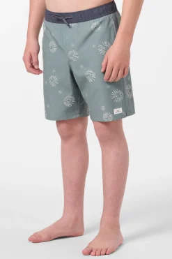 Boy's Hermosa Elastic Waist Lined 16