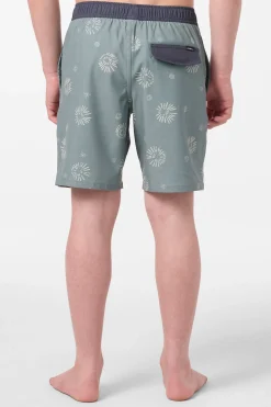 Boy's Hermosa Elastic Waist Lined 16