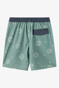 Boy's Hermosa Elastic Waist Lined 16