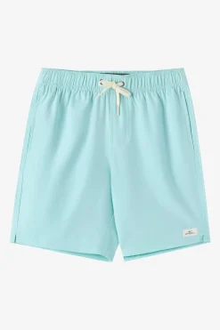 Boy's Lennox Hermosa Solid Volley 16" Swim Trunks Trunks - Canal Blue | O'Neill