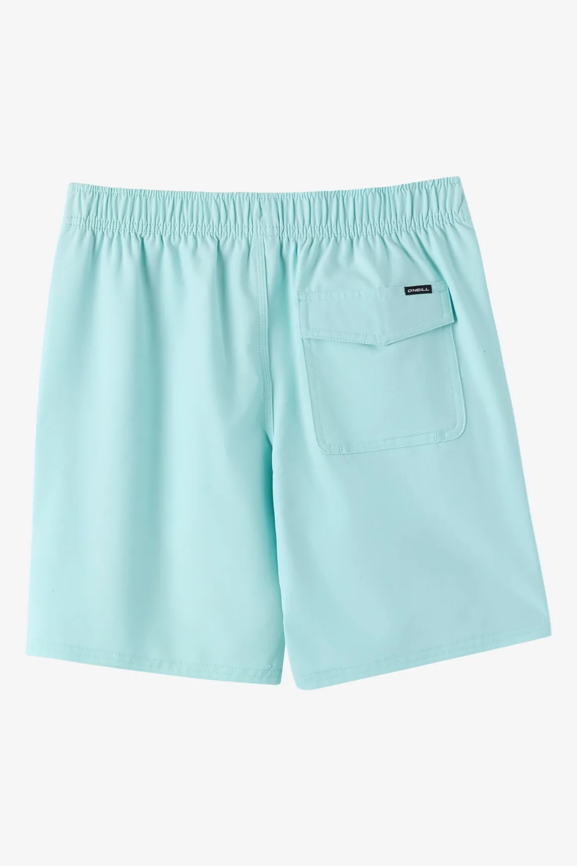 Boy's Lennox Hermosa Solid Volley 16" Swim Trunks Trunks - Canal Blue | O'Neill