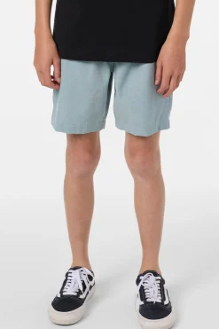 Boy's Reserve Light Check Elastic Waist 16"'' Hybrid Shorts - Stone Blue | O'Neill