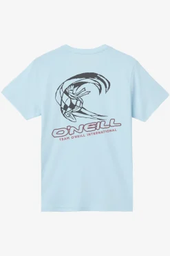 Boy's Team Spike Tee - Sky Blue Heather | O'Neill
