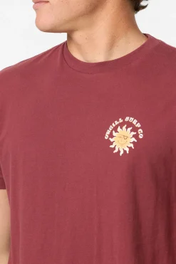 Brightside Standard Fit Tee