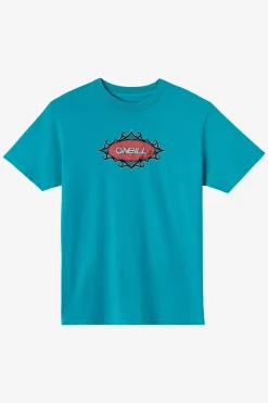 Bullseye Relaxed Fit Tee - Stormy | O'Neill