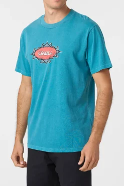 Bullseye Relaxed Fit Tee - Stormy | O'Neill