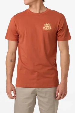 Burst Classic Tee Standard Fit Tee - Chutney | O'Neill