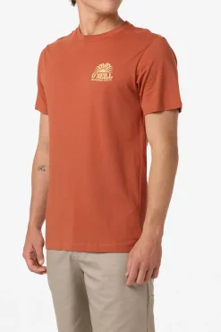 Burst Classic Tee Standard Fit Tee - Chutney | O'Neill