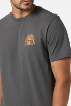 Burst Classic Tee Standard Fit Tee - Dark Shadow | O'Neill