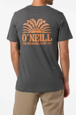 Burst Classic Tee Standard Fit Tee - Dark Shadow | O'Neill