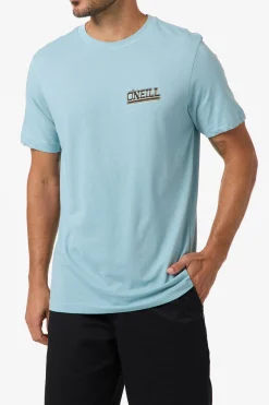 Cactus Classic Tee Standard Fit Tee - Stone Blue | O'Neill