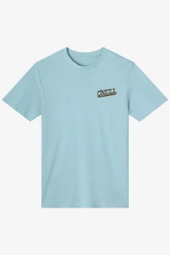 Cactus Classic Tee Standard Fit Tee - Stone Blue | O'Neill