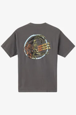 Circle Freak Boxy Tee Standard Fit Tee - Grey Mineral | O'Neill