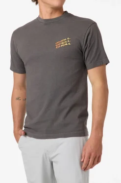 Circle Freak Boxy Tee Standard Fit Tee - Grey Mineral | O'Neill