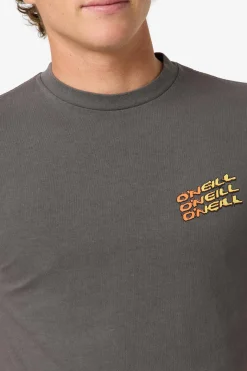 Circle Freak Boxy Tee Standard Fit Tee - Grey Mineral | O'Neill