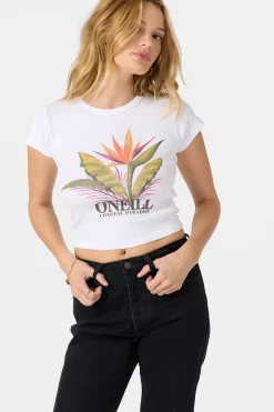 Costa Palms Tee - White | O'Neill