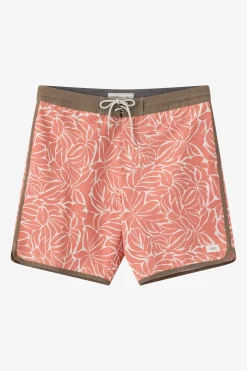 Cruzer Scallop 18" Boardshorts - Langoustino | O'Neill