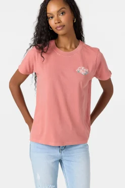 Dakota Fill Tee - Desert Sand | O'Neill