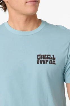 De La Cruzer Classic Tee Standard Fit Tee - Stone Blue | O'Neill