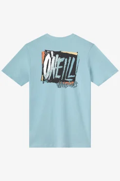 Distract Classic Tee Standard Fit Tee - Stone Blue | O'Neill