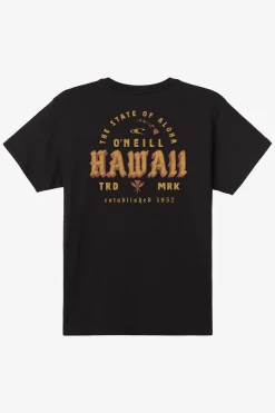 Hawaii Arc Classic Tee - Black | O'Neill