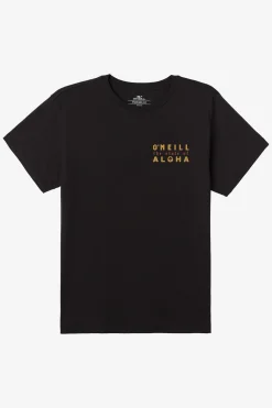 Hawaii Arc Classic Tee - Black | O'Neill