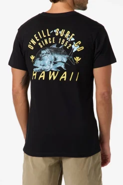 Hawaii Trevally Classic Tee - Black | O'Neill
