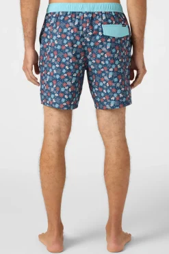 Hermosa Elastic Waist 17