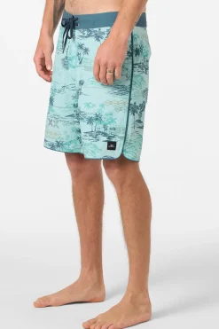 Hyperfreak Mysto Scallop 19