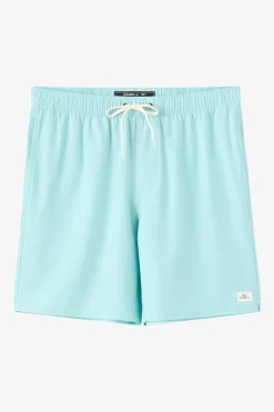 Lennox Hermosa Solid Volley 17" Swim Trunks Trunks - Canal Blue | O'Neill