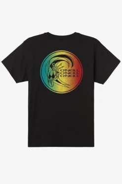 Neapolitan Standard Fit Tee - Black | O'Neill