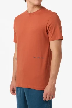 Offset Classic Tee Standard Fit Tee - Chutney | O'Neill