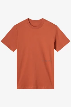 Offset Classic Tee Standard Fit Tee - Chutney | O'Neill