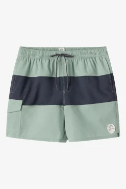 O'Riginals Midway Elastic Waist 16" Swim Trunks Trunks - Seagrass | O'Neill