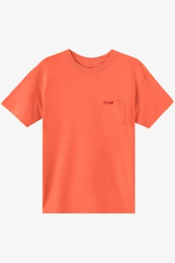O'Riginals Pocket Relaxed Fit Tee - Burnt Sienna | O'Neill