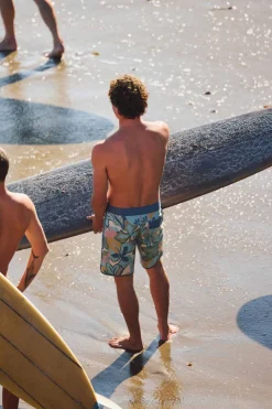 O'Riginals Print Scallop 18