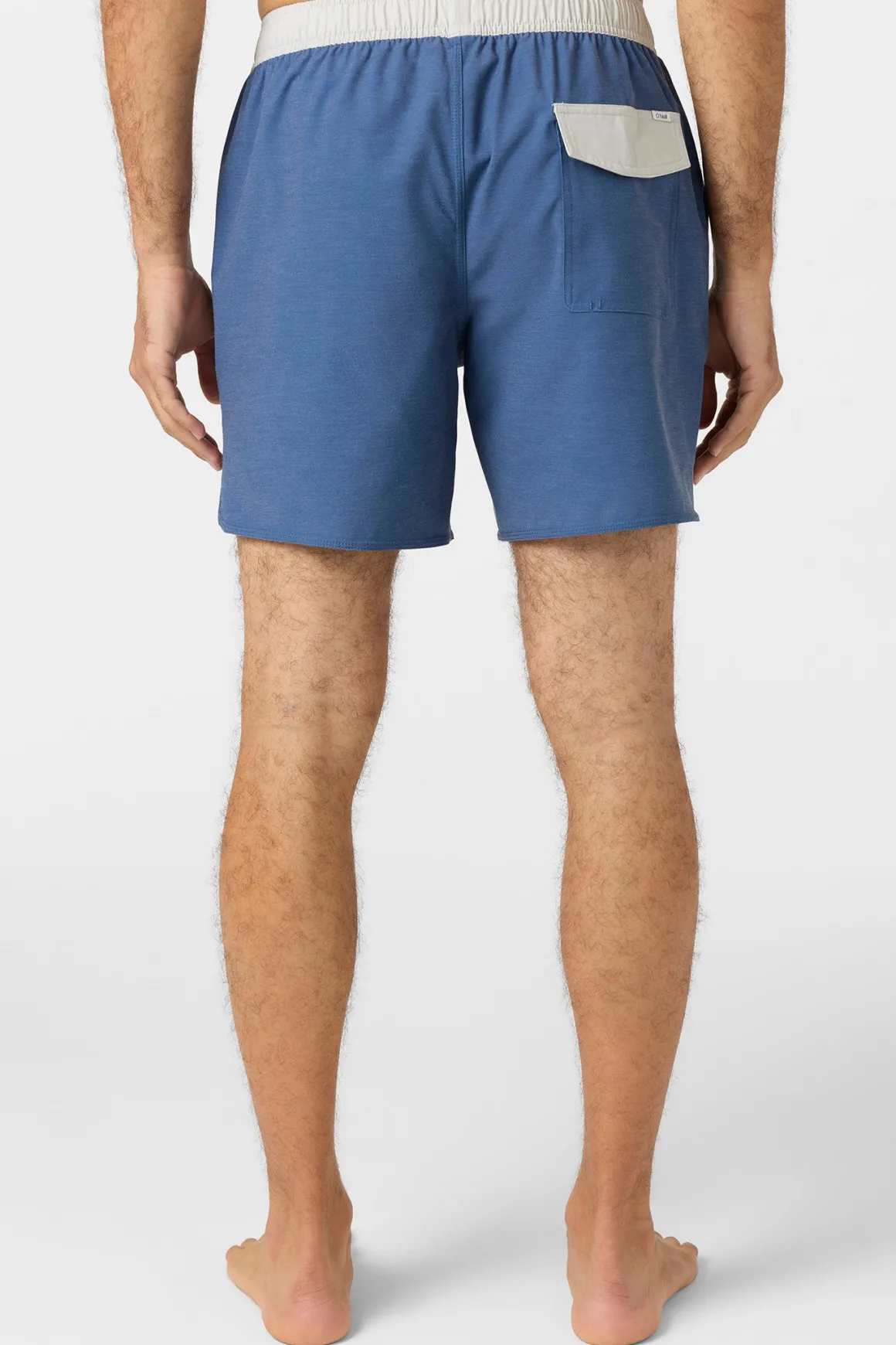 O'Riginals Solid Scallop Volley 16" Swim Trunks Trunks - Vn Indigo | O'Neill