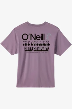 O'Riginals Verbage Relaxed Fit Tee - Moonscape | O'Neill