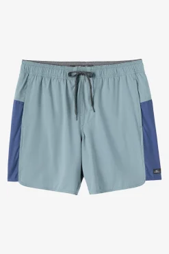 Perform Light Tech Panel Lined Elastic Waist 17" Hybrid Shorts - Trooper | O'Neill