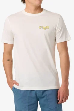 Shop Classic Tee Standard Fit Tee - Tofu | O'Neill