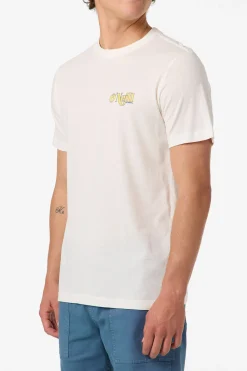 Shop Classic Tee Standard Fit Tee - Tofu | O'Neill