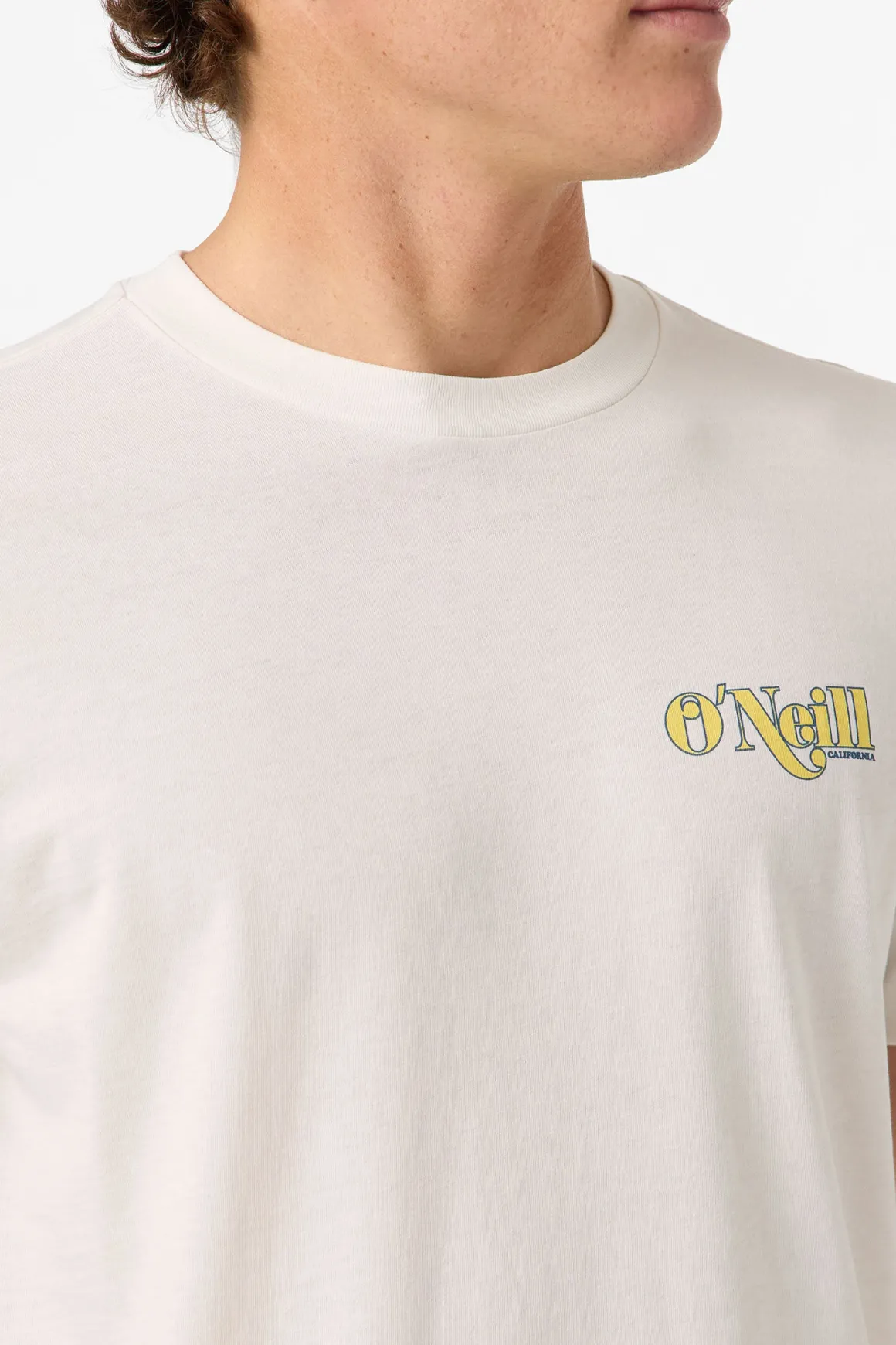 Shop Classic Tee Standard Fit Tee - Tofu | O'Neill