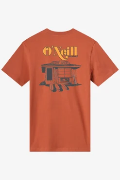 Shop Classic Tee Standard Fit Tee - Chutney | O'Neill