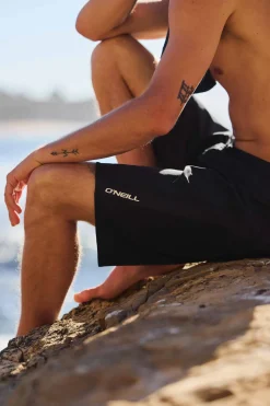 Superfreak Solid 21" Boardshorts